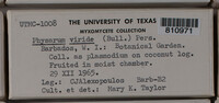 Image Associated With the Occurence